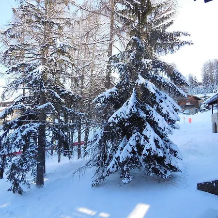 2** Renove, Centre Des Coches, Pied Des Pistes, Proche Commerces Et Garderie - Fr-1-353-62 *